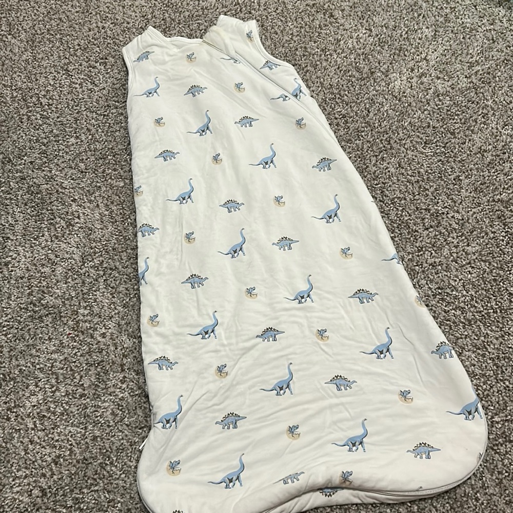 Kyte Baby Sleep Sack 🦕
